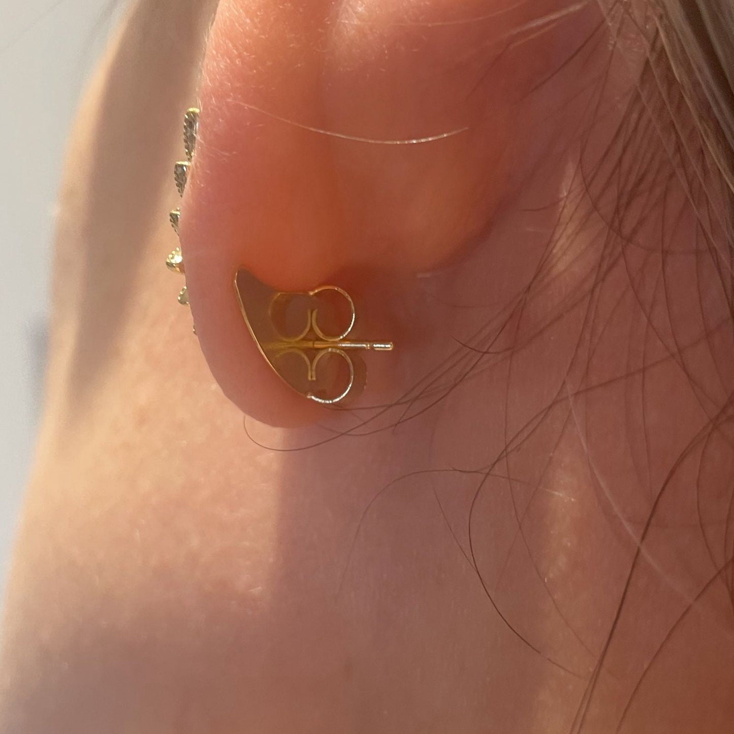 TARRAXA SUSTENTAÇÃO ASA  - BANHO DE OURO 18k ou RÓDIO BRANCO